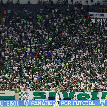 Torcida do Palmeiras no jogo contra o Novorizontino, na Arena Barueri