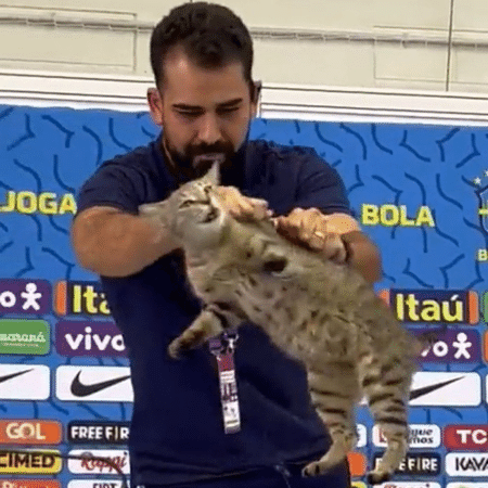 Gato sendo tirado por assessor da CBF durante entrevista coletiva na Copa do Mundo de 2022