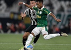 Restam 7: quem leva Brasileiro se Palmeiras e Botafogo repetirem campanha - Thiago Ribeiro/AGIF