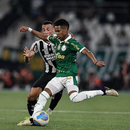 Botafogo venceu o Palmeiras por 1 a 0 no primeiro turno do Brasileirão, no Engenhão