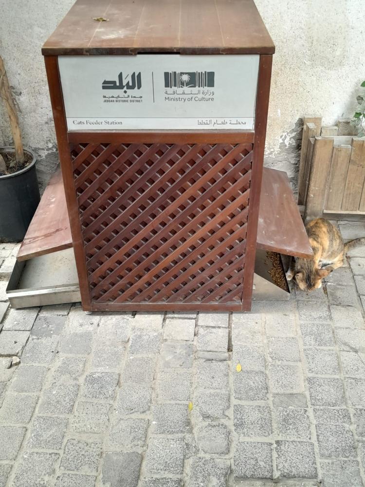 Caixa de ração para gatos de rua em Al Balad. Peã tem o símbolo do Ministério da Cultura
