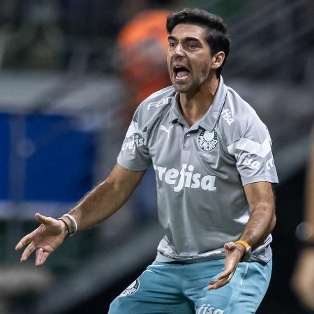 Abel esbraveja com arbitragem durante Palmeiras x Botafogo-SP
