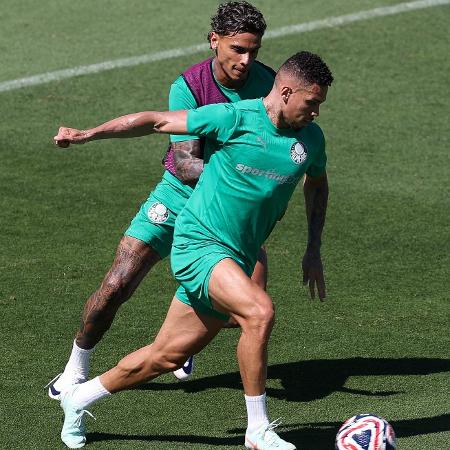 Palmeiras enfrenta o Al-Ahly amanhã, às 13h (de Brasília), pelo Mundial de Clubes Palmeiras enfrenta o Al-Ahly amanhã, às 13h (de Brasília), pelo Mundial de Clubes