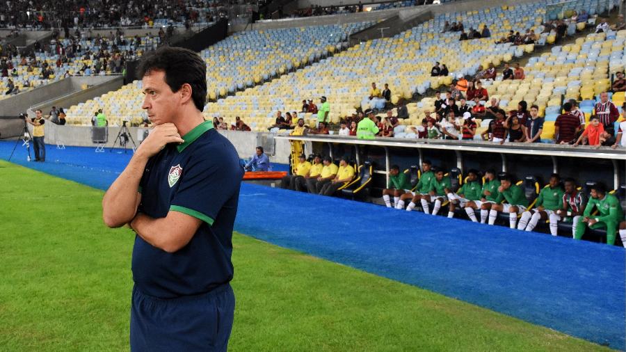 Fernando Diniz lamentou nova derrota mesmo com boa atuação no Brasileiro - Maílson Santana/Fluminense FC