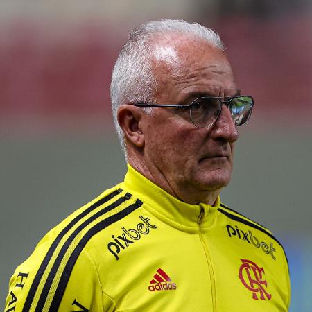 Dorival Jr, técnico do Flamengo ex-Santos - Gilson Junio/AGIF