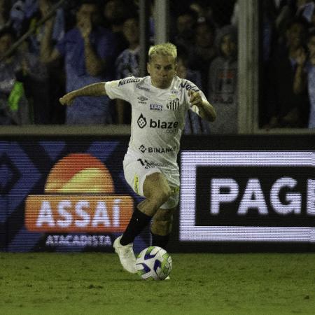 Cinturão do Futebol Brasileiro on X: E já temos data para nosso próximo  jogo. Dia 12/11, o desafiante @SantosFC recebe o detentor @SaoPauloFC .  Seguem possíveis próximos jogos.  / X