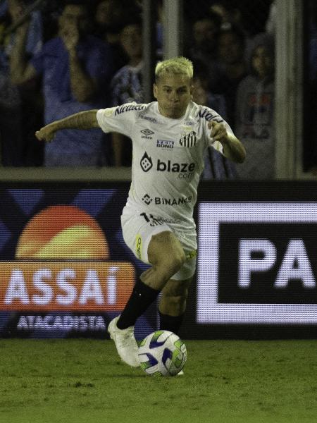 Santos tenta manter 100% contra chilenos no Brasil - Mercado do Futebol