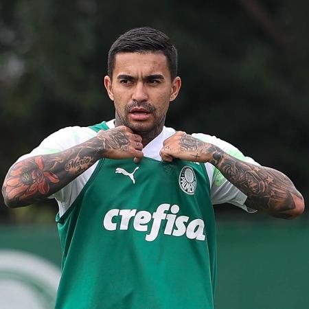 Dudu não está 100%, mas treinou e viaja com o elenco do Palmeiras