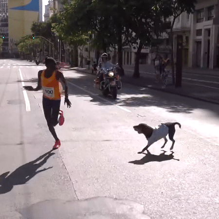 Cachorro invade circuito da São Silvestre e atrapalha a vencedora Catherine Reline