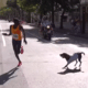 Cachorro invade a pista e atrapalha vencedora da São Silvestre - Reprodução/TV Globo
