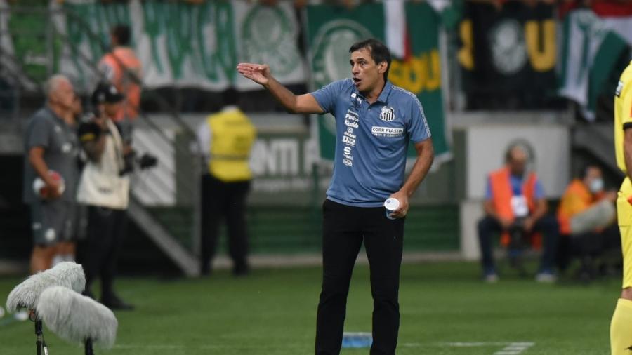 O técnico Fabián Bustos durante a partida entre Palmeiras e Santos - Ivan Storti/Santos
