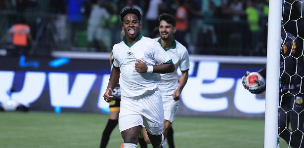Palmeiras supera Novorizontino e encara Santos na grande final do Paulistão