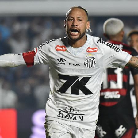 Neymar festeja gol do Santos sobre o Flamengo em confronto do Brasileirão