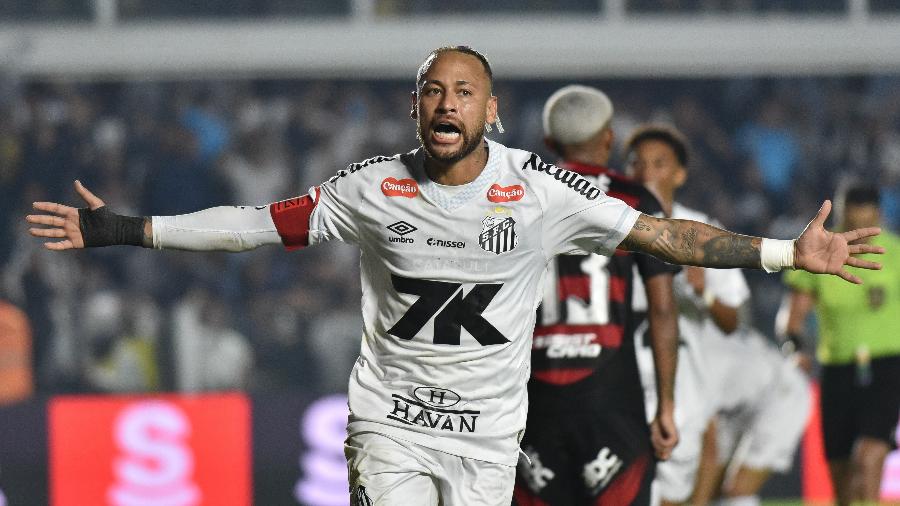 Neymar festeja gol do Santos sobre o Flamengo em confronto do Brasileirão Neymar festeja gol do Santos sobre o Flamengo em confronto do Brasileirão