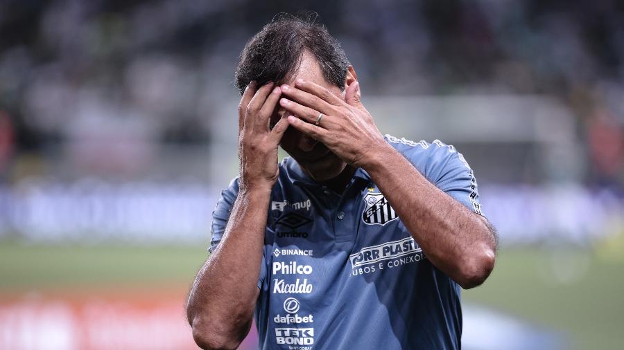O técnico do Santos Fabián Bustos durante duelo entre Palmeiras e Santos, no Allianz Parque - Ettore Chiereguini/AGIF