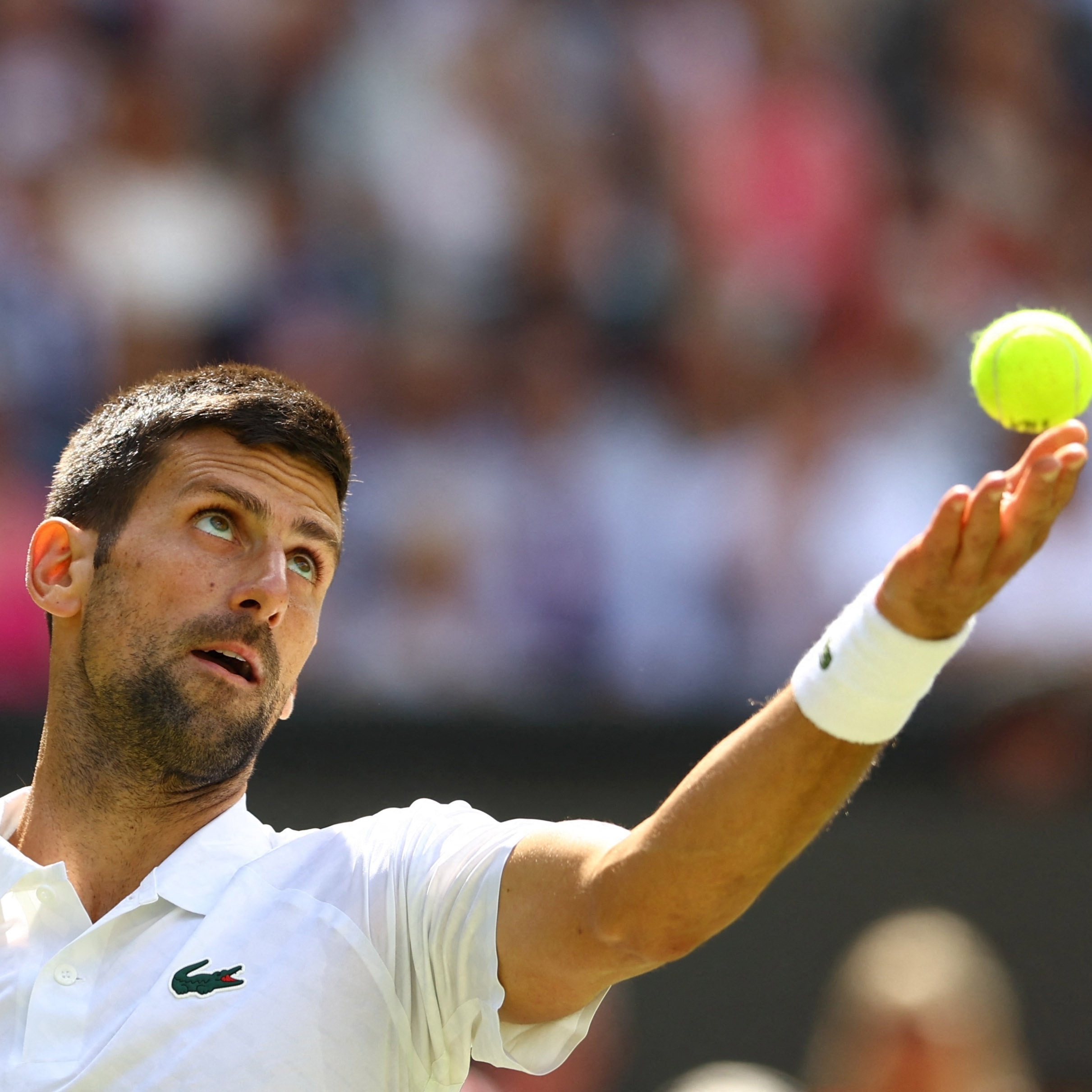 Djokovic voa em segurança e soma 29.ª vitória seguida em Wimbledon