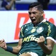 Palmeiras: o 'bagre' do último jogo pode virar o 'craque' hoje e vice-versa