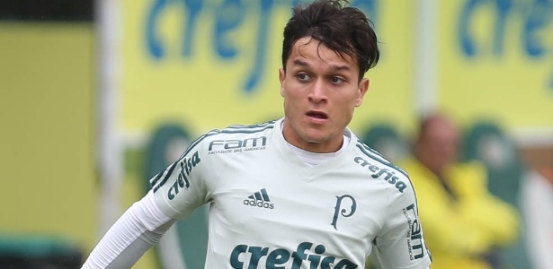Artur foi reintegrado ao elenco do Palmeiras e será aproveitado por Roger em 2018 - Cesar Greco/Ag. Palmeiras/Divulgação