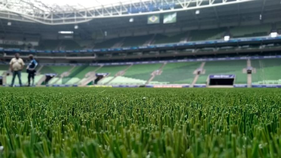 Grama sintética no Allianz Parque: Palmeiras ainda está invicto no novo piso - José Edgar de Matos/UOL Esporte