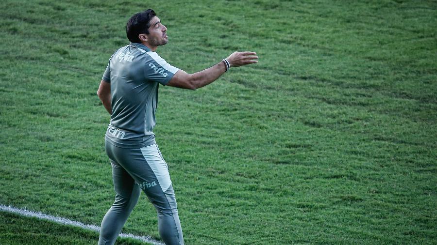 Abel Ferreira, técnico do Palmeiras, durante a partida contra o Sport - Paulo Paiva/AGIF