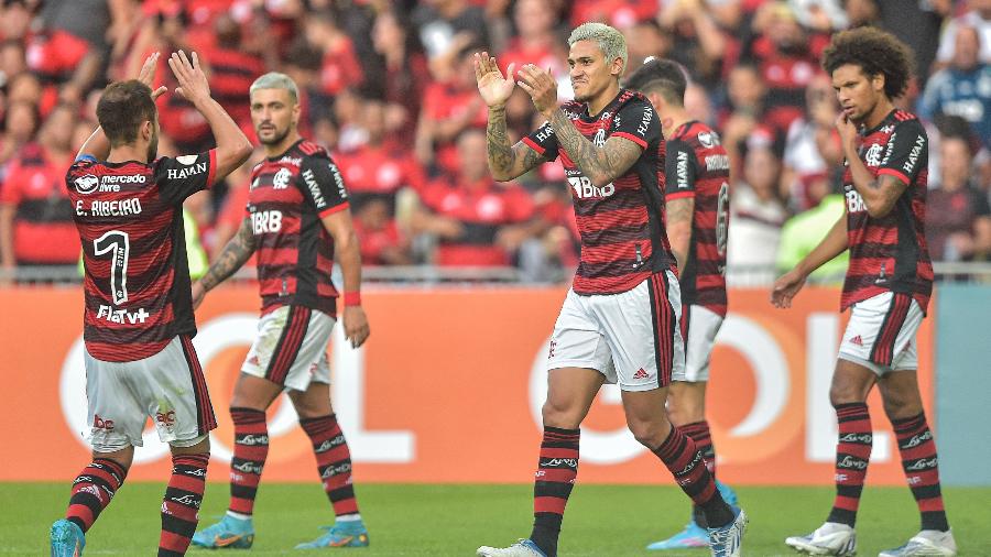  Pedro, jogador do Flamengo, comemora seu gol com jogadores do seu time durante partida contra o Goiás no estadio Maracanã  - Thiago Ribeiro/AGIF
