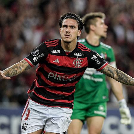 Pedro, do Flamengo, comemora seu gol contra o Palestino, pela Libertadores