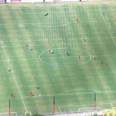 Jogadores do Flamengo realizam atividades no campo do CT Ninho do Urubu - Reprodução TV Globo
