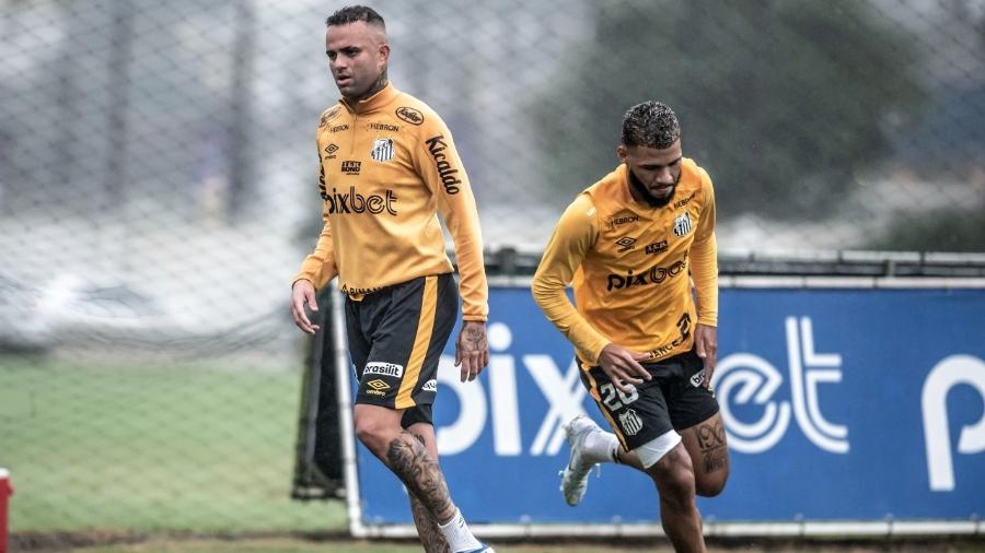 Luan e Nathan, reforços do Santos, treinaram pela primeira vez com os companheiros - Reprodução/Twitter/SantosFC
