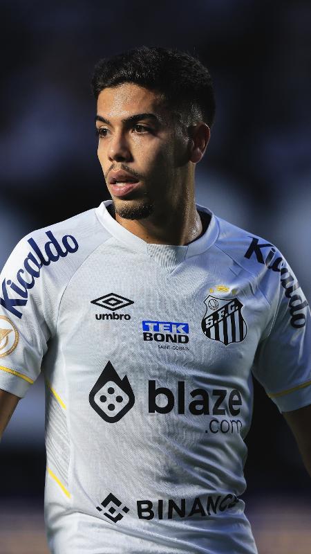 Santos sofre primeira perda após queda para série B e liga alerta