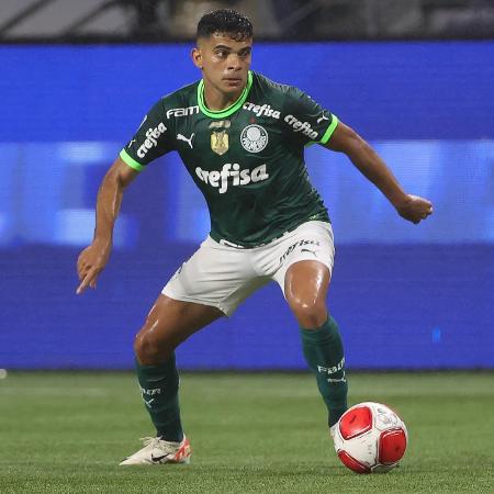 Bruno Rodrigues se machucou durante o seu segundo jogo com a camisa do Palmeiras, no começo de 2024 - Cesar Greco/Palmeiras