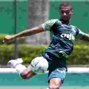 Fabio Menotti/Palmeiras
