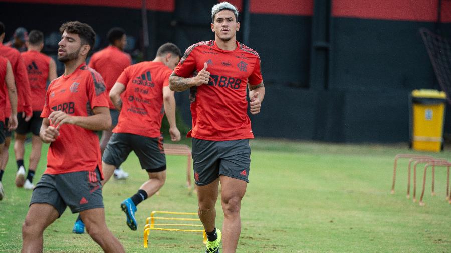 Pedro se recupera de lesão no Flamengo - Alexandre Vidal/Flamengo