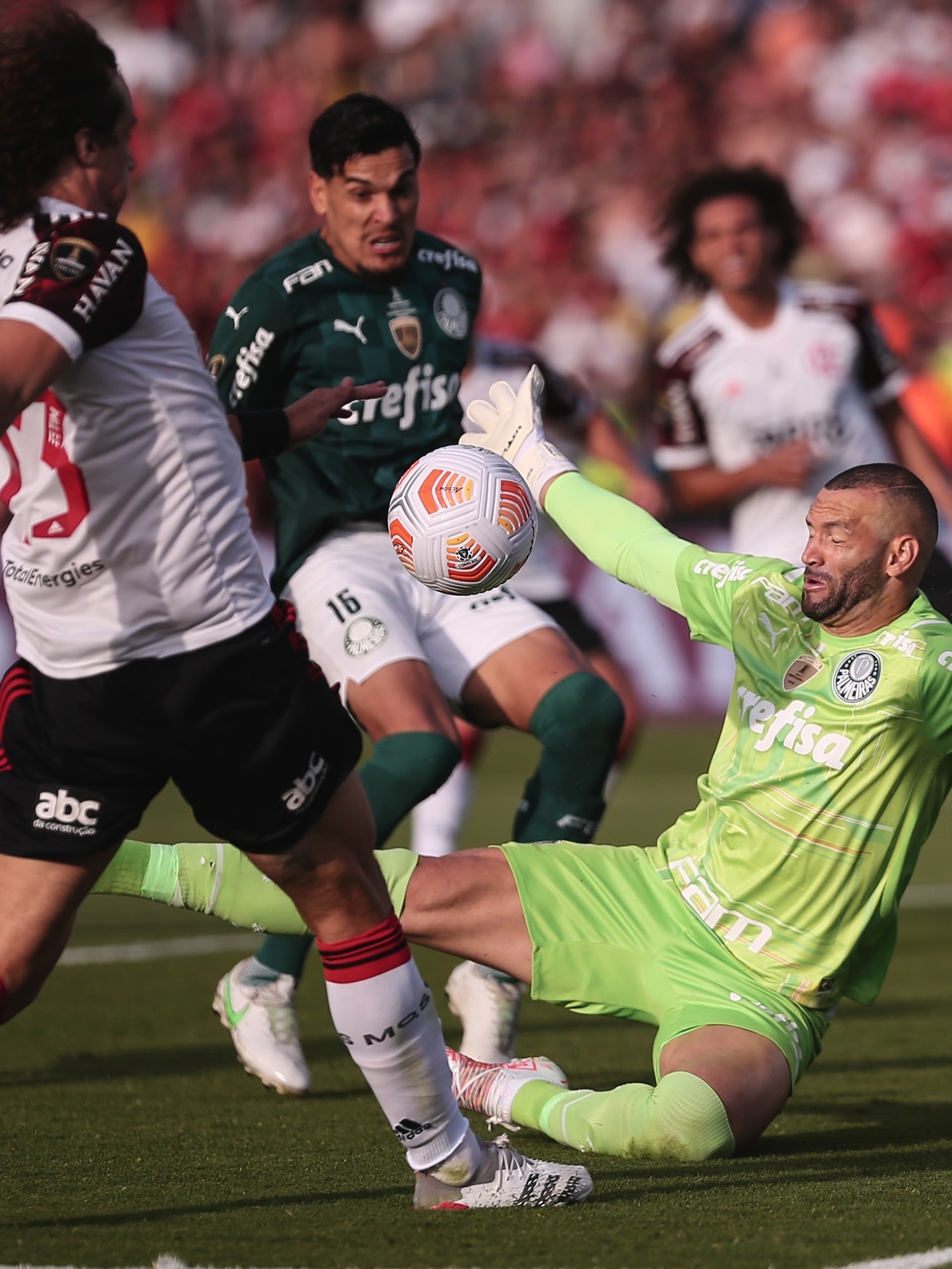 Weverton prevê saudade de jogar pelo Palmeiras, mas diz: O que vale nesse  momento é a vida