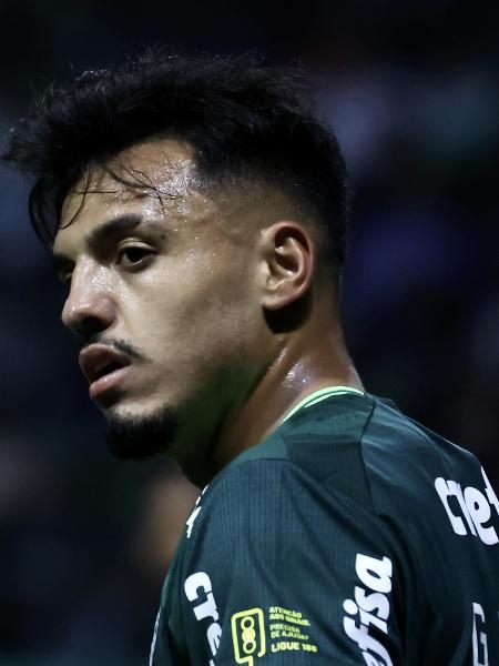 Palmeiras Gabriel Menino Sofre Lesão No Tornozelo E Vira Desfalque