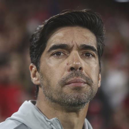 Abel Ferreira, técnico do Palmeiras