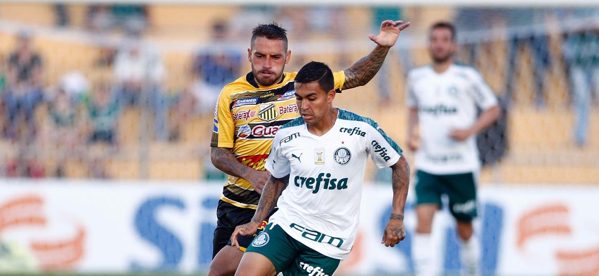 Dudu tenta se livrar da marcação durante partida entre Novorizontino e Palmeiras no Campeonato Paulista - Thiago Calil/AGIF