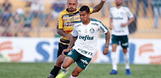 Palmeiras Scares But Against Novorizontino With Rookie Goal 03 23 2019