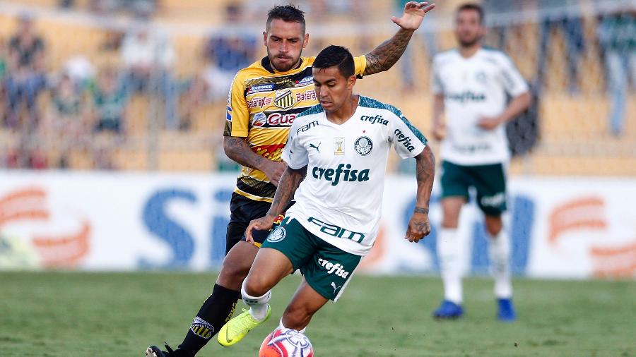 Dudu tenta se livrar da marcação durante partida entre Novorizontino e Palmeiras no Campeonato Paulista - Thiago Calil/AGIF