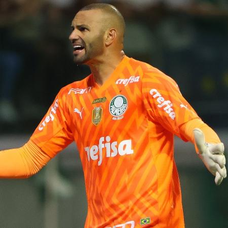 Weverton em ação durante Palmeiras x Botafogo, jogo do Campeonato Brasileiro