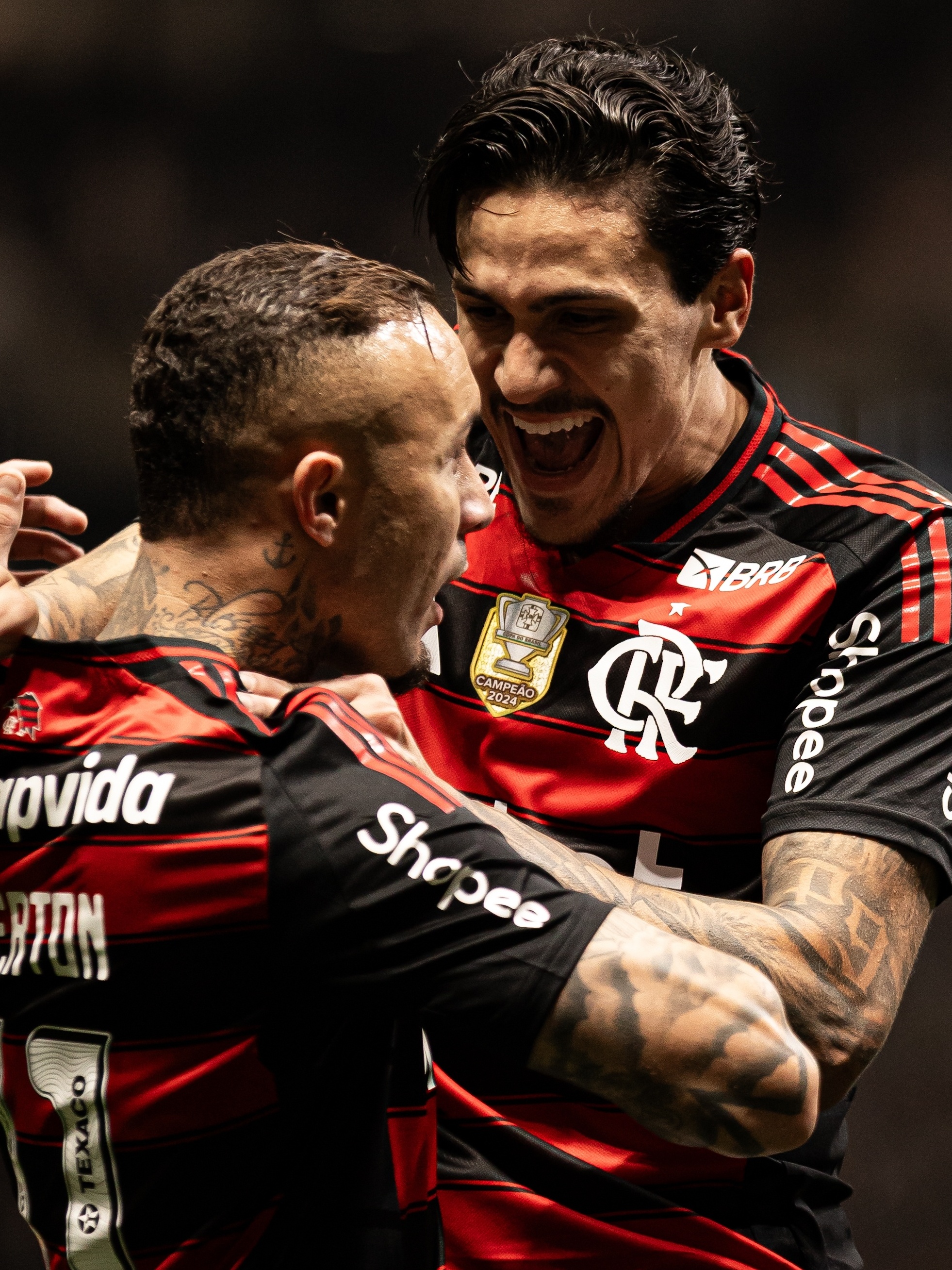 Atlético-PR X Flamengo: Brasileirão 2016/2º Turno  Campanha Do Clube De Regatas Do Flamengo No Campeonato Brasileiro 2016 Serie A Livro 38 Rmorel Pdf