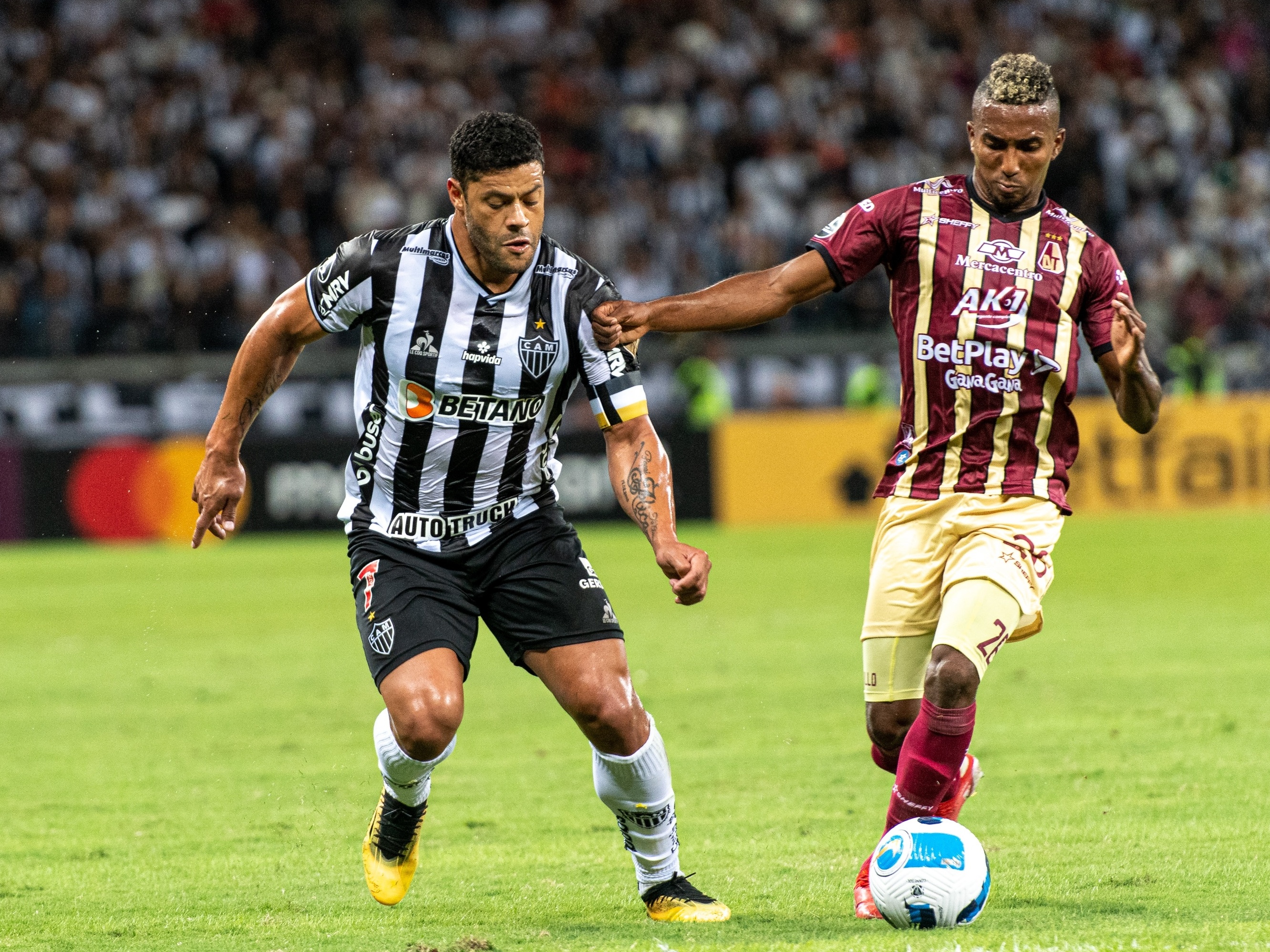 5 motivos para não perder Galo x Tolima hoje, 25 de maio, pela