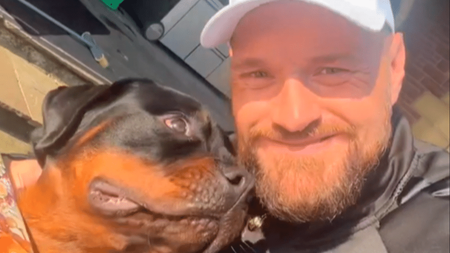 O boxeador Tyson Fury comprou um cachorro de guarda de R$ 120 mil para fazer a segurança de sua mansão na Inglaterra - Reprodução/Instagram