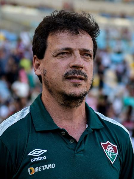 Fernando Diniz, técnico do Fluminense, falou sobre assumir a seleção - Thiago Ribeiro/AGIF