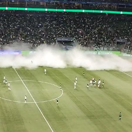 Fumaça atrapalhou início de Palmeiras e Portuguesa pelo Paulistão