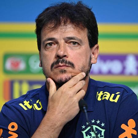 Fernando Diniz em sua primeira convocação como técnico da seleção brasileira