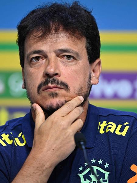 Globo vai mostrar 90% dos jogos das eliminatórias, que terão estreia de Fernando Diniz na seleção