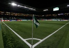 Onde vai passar Palmeiras x América-MG? Saiba onde assistir - Ricardo Moreira/Getty Images