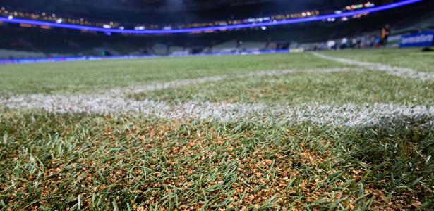 Palmeiras confirmado no Allianz para a Libertadores após aprovação de Gramado.