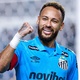 Santos 'aprova' sorteio contra o Palmeiras e cr&ecirc; em Neymar no sint&eacute;tico
