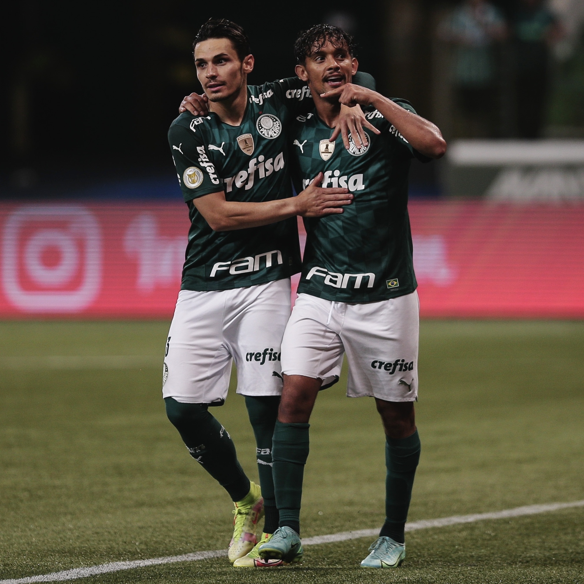 SE Palmeiras on X: AAAE, O MEU PALMEIRAS GANHOU! 🐷 Três clássicos e três  vitórias! Com gols de Raphael Veiga e Danilo, vencemos o Derby no Allianz  Parque e garantimos a liderança